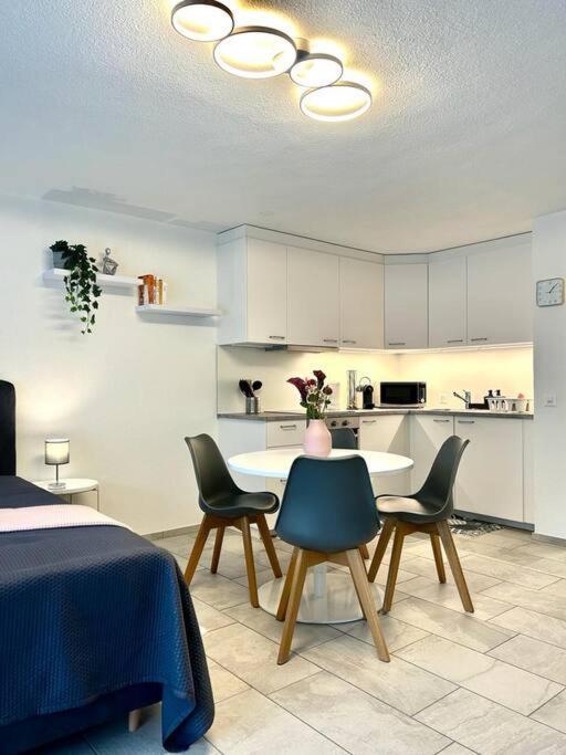 Apartamento Casa Ambizione Dietikon Exterior foto