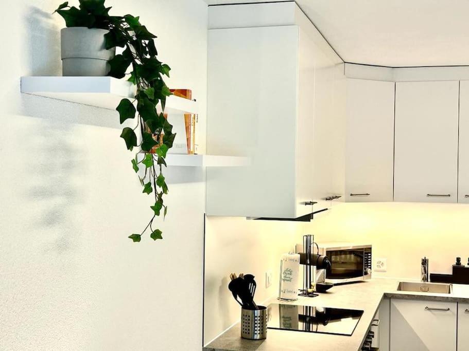 Apartamento Casa Ambizione Dietikon Exterior foto